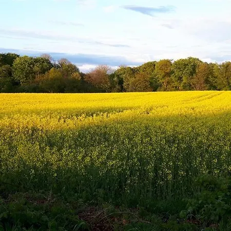 Blaue Haeuschen Westerholz